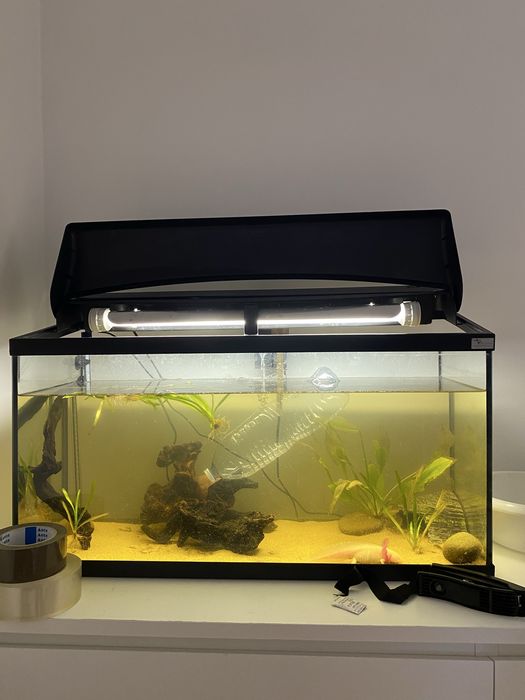 aquario 100L 80cm