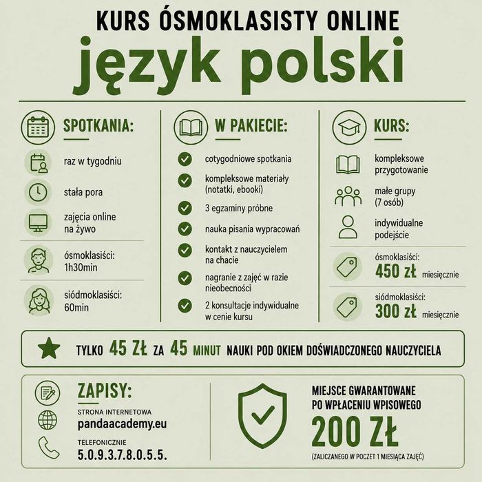 Korepetycje kurs online język polski egzamin ósmoklasisty
