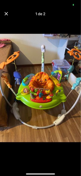 Aranha saltitante bebe