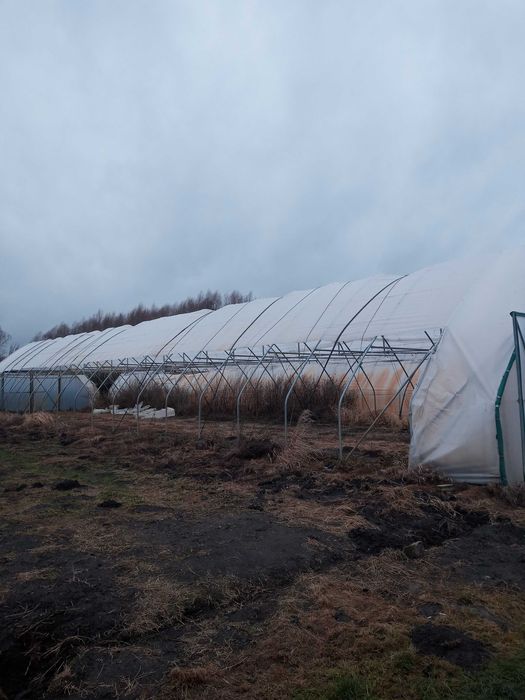 Konstrukcja foliowa "Gotyk"