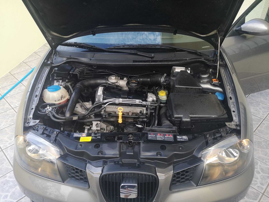 Seat Ibiza 6L 2005