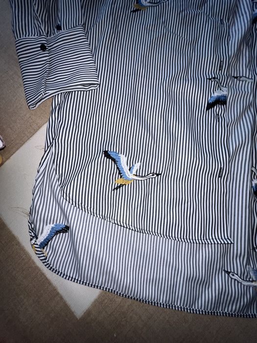 Koszula w paski haftowana w ptaki zara