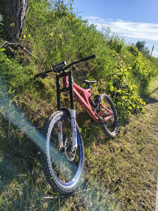 Specialized big hit
