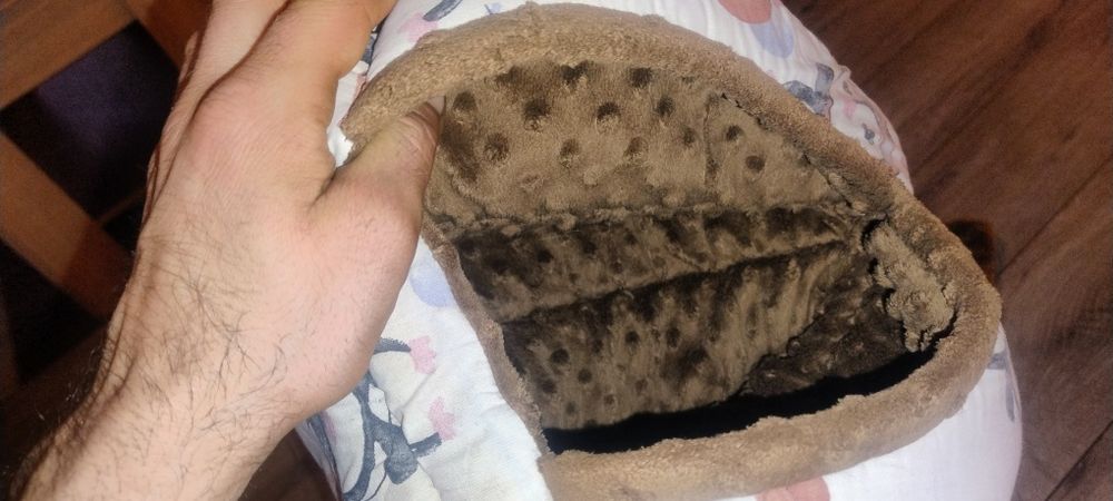 Domek dla świnki morskiej