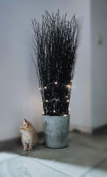 Декор з бетону та гілок, бамбук