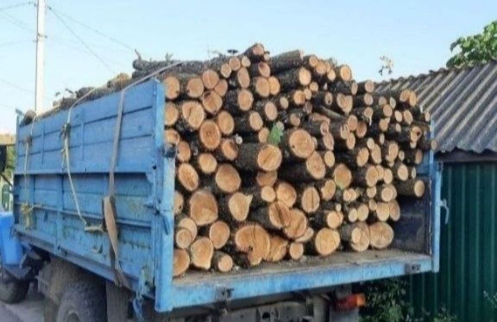 Дрова Метровками та колоті. Безкоштовно доставляємо. 3/6/8/18.5 ск/м