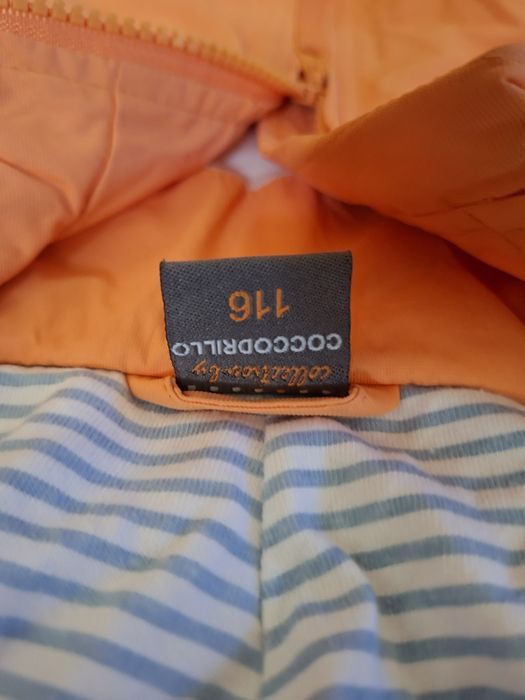 Kurtka wiosenna Coccodrillo 116
