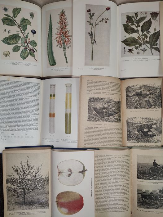 набор книг Фармакогнозия. Овощеводство. Анализ почв. Сорт и семена