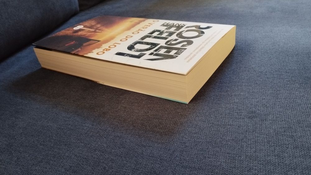 O verão do lobo de Hans Rosenfeldt - Portes grátis