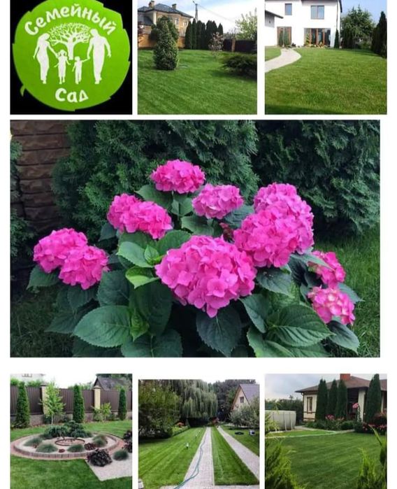 Обрізка Дерев,Кущів,Обприскування Дерев та Рослин.  Покос газонну.