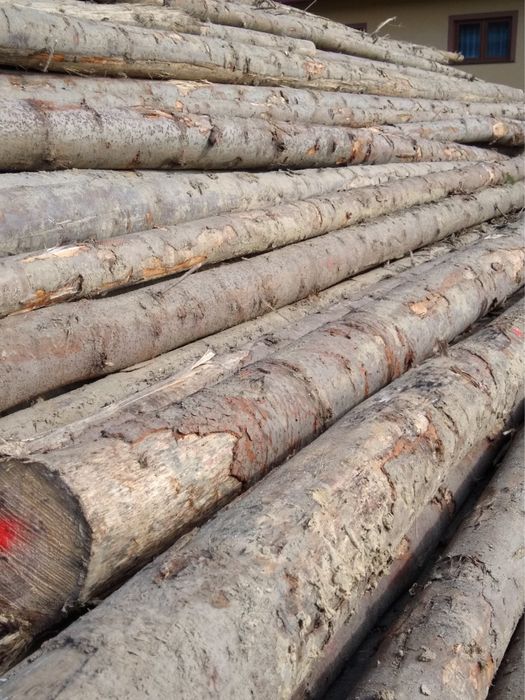 Stemple budownale, żerdzie na huśtawki lub ogrodzenia