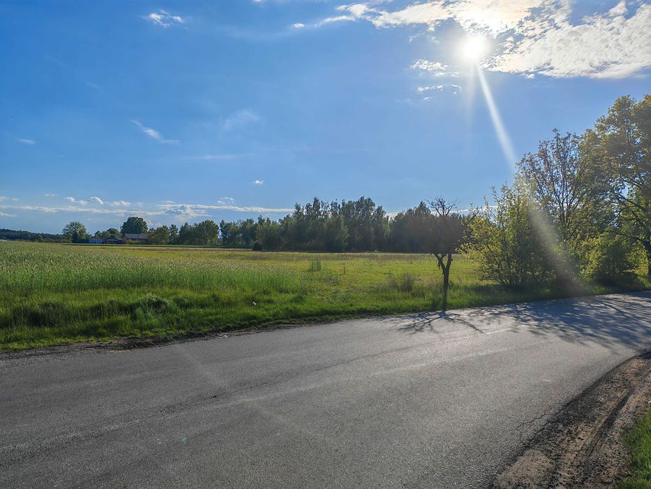 Malownicza Działka 1700 m² z WZ, w Dębe, 12 minut od placu Kilińskiego, Kalisz. - Widok 5