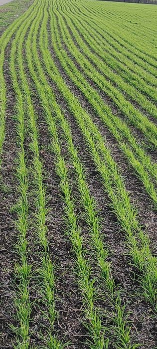 Продам агропідприємство Полтавська  область