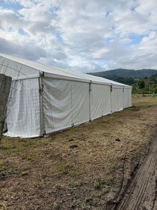 Tendas 2 Águas e Cónicas