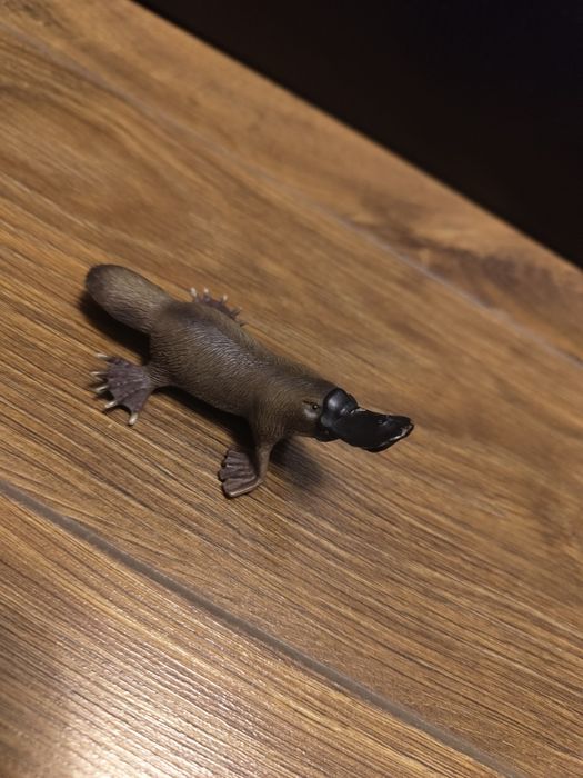 Figurka dziobak collecta