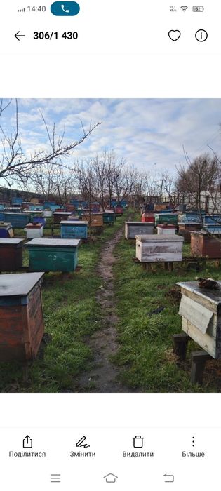 Продам Бджолосім'ї Українська Степова у 2026році