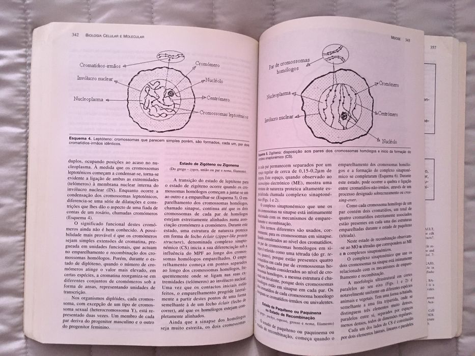 Biologia Molecular e Celular