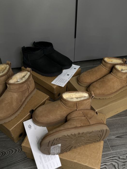 Угг классические угги ugg mini classic без платформы уг