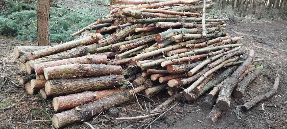 Sprzedam drewno opałowe