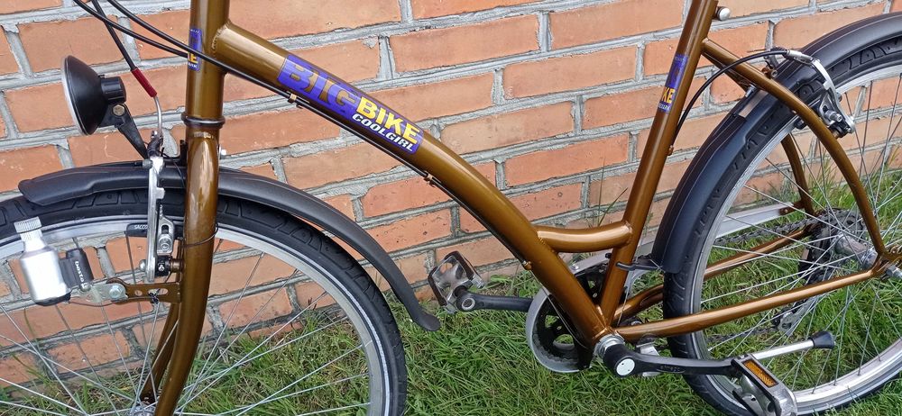 Rower młodzieżowy holenderski - jak Alpina