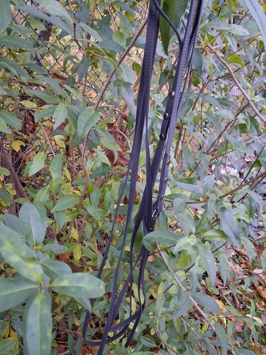 Linka treningowa Hexa 8m 10mm