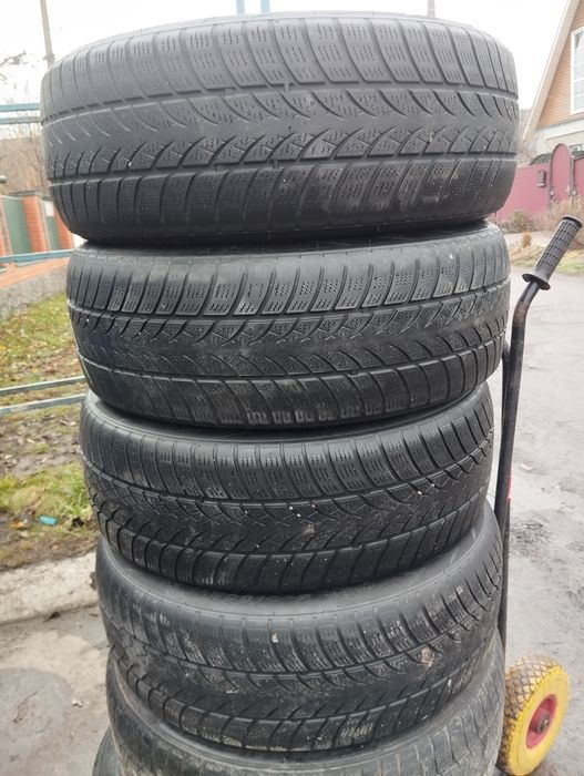 Зимові шини Triangle 205/55/17