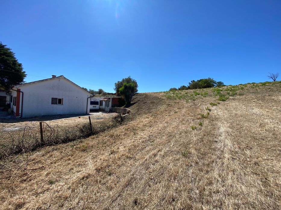 Limpeza de terrenos / Manutenção de jardins