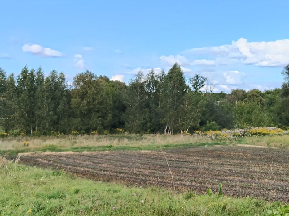 Продам земельну ділянку