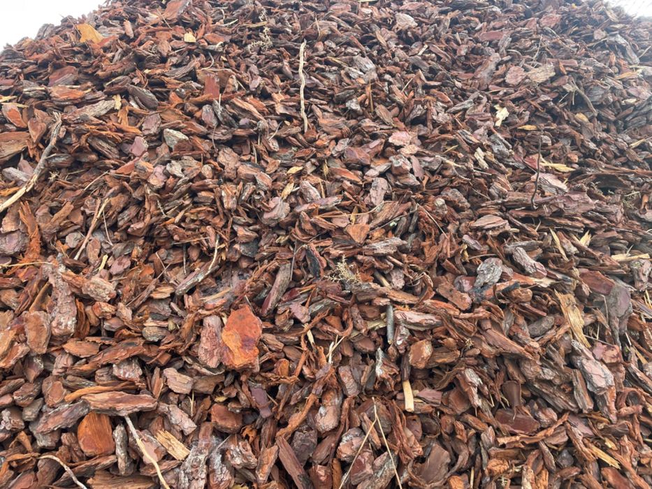 Casca de Pinheiro - BigBag ou Granel -  (ENTREGA AO DOMICÍLIO)