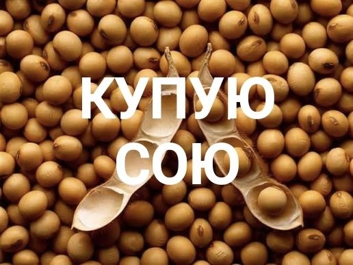 Соя урожаю 2025-2026 року