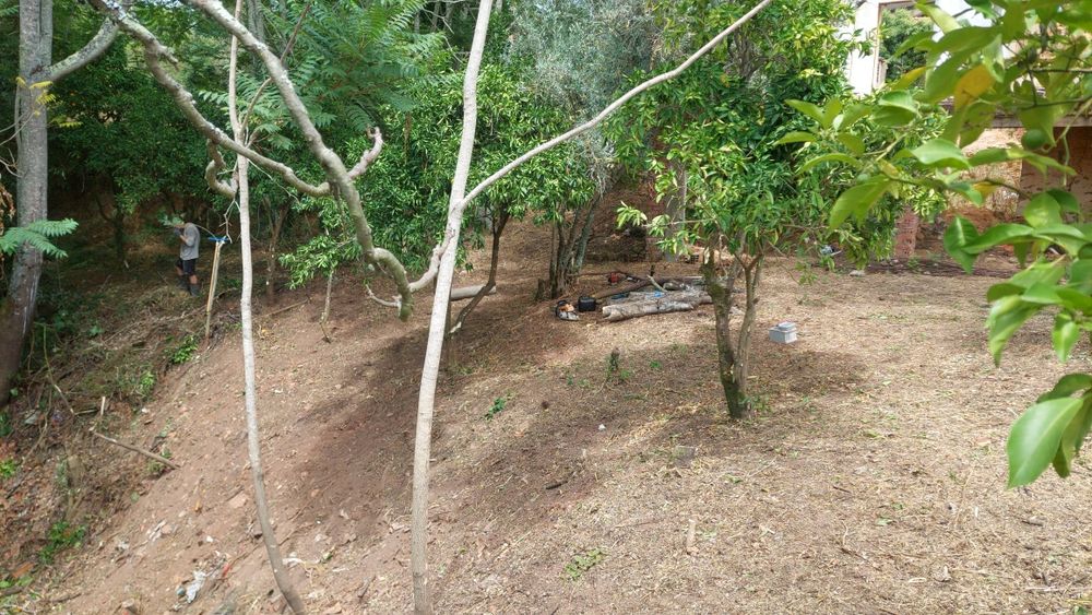 Terreno com casa em ruinas