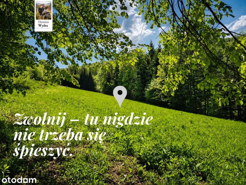 Zdjęcie 7