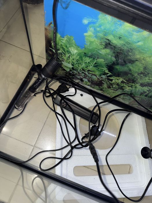 Aquario para peixes