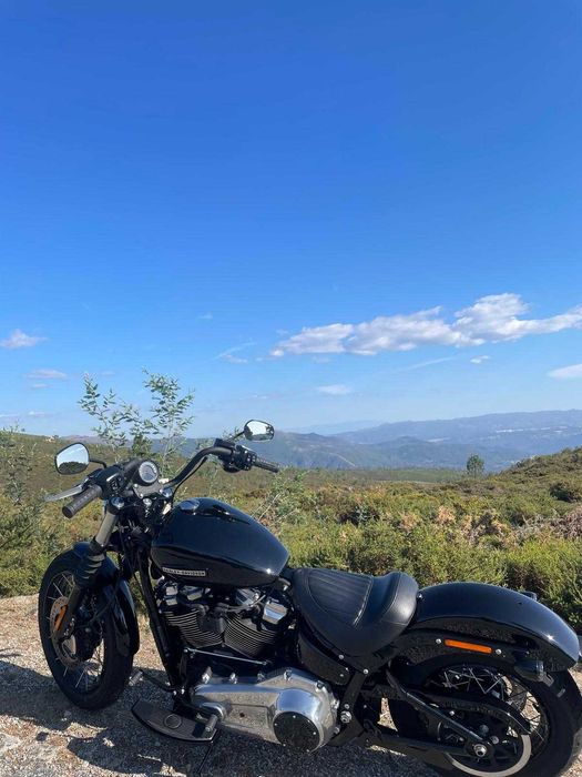 Harley Davidson STREET BOB 117