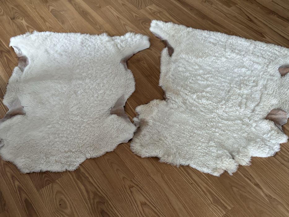 Skóra owcza , skóra naturalna , dywanik , legowisko