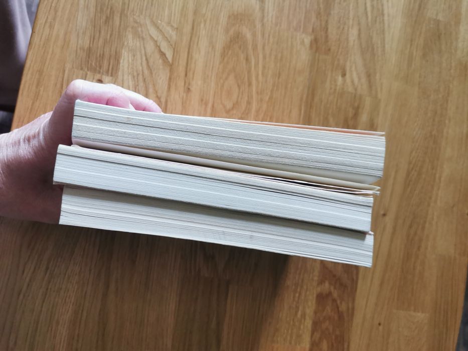 Meagan McKinney Zamek na wrzosowisku, Uzurpator, Księżycowa Dama