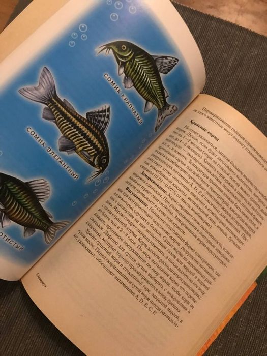 Книжка про акваріум