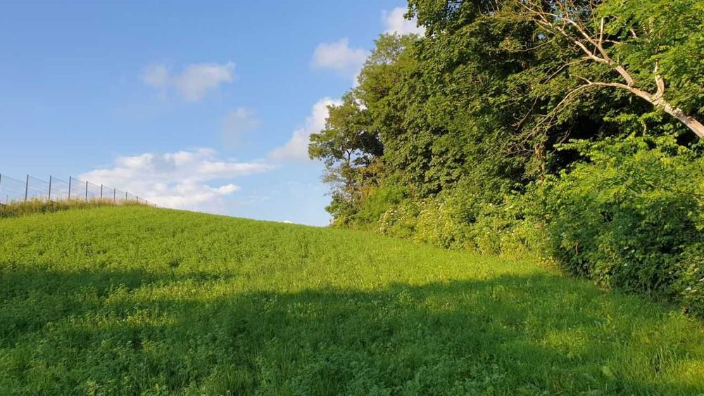 Działka nad Jeziorem Łączonek z linią brzegową w powiecie rypińskim - View 4