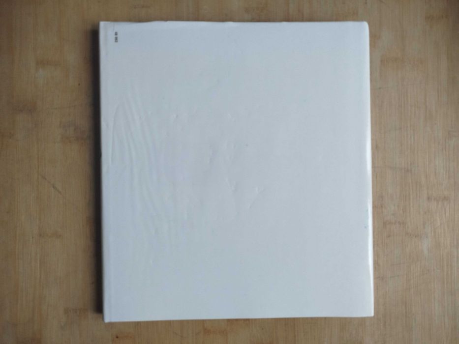 A Arte Portuguesa do Século XX de Rui Mário Gonçalves (como novo)