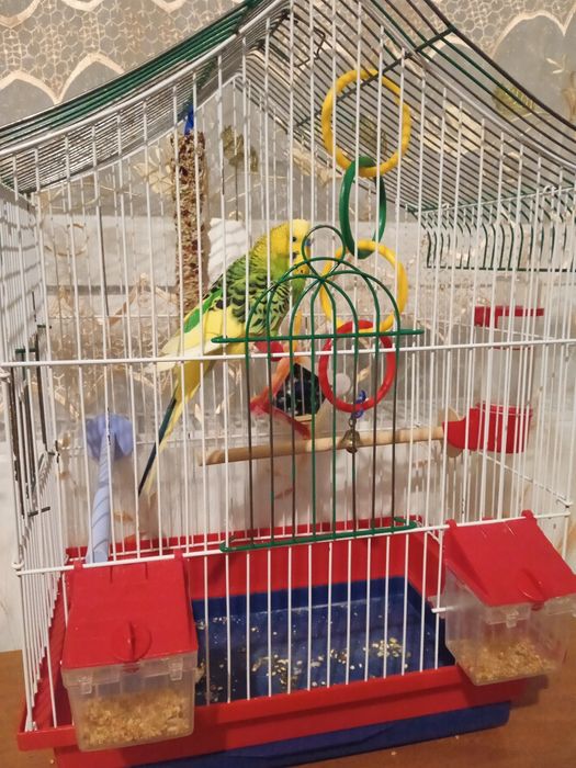 Продам клетку для попугая