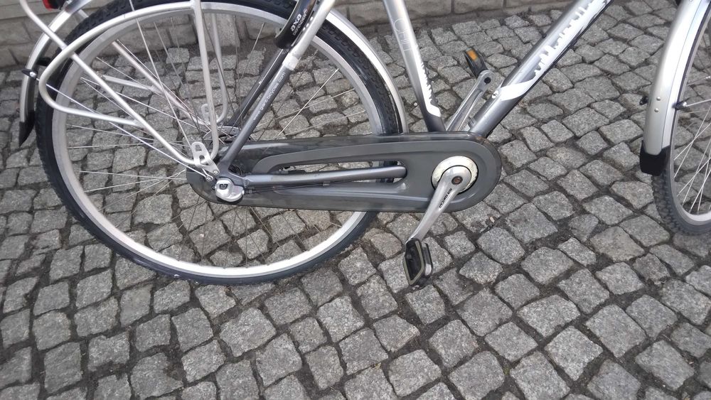 Rower holenderski Giant