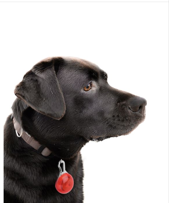 Лед підвіска  на нашийник ліхтарик маячок для домашніх тварин