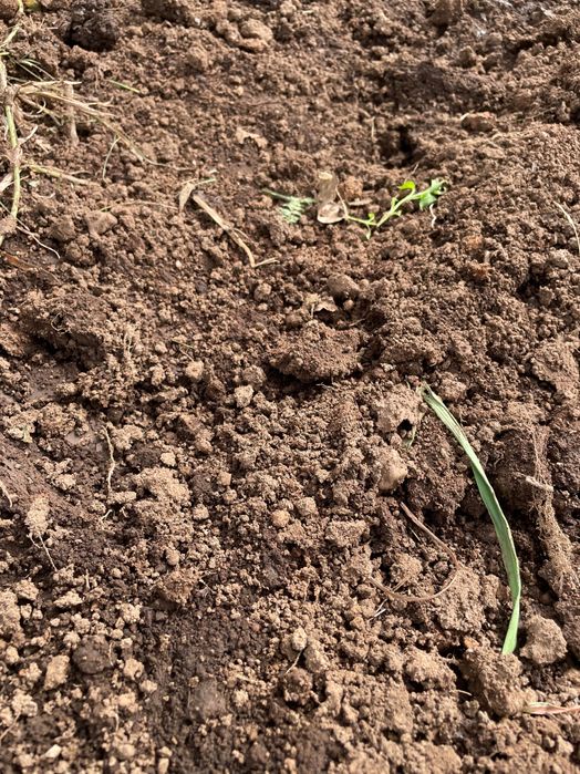 Vende se Terra vegetal preta