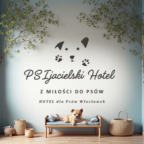 Hotel dla psów Włocławek