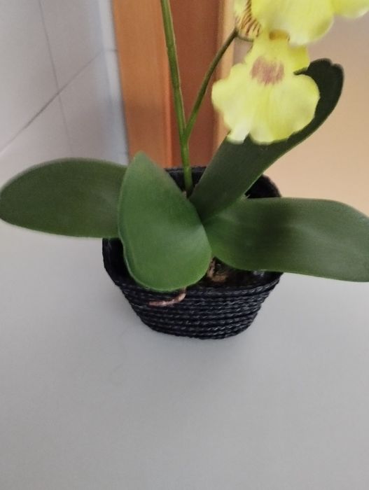 Orquídea artificial