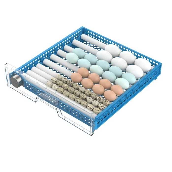 Chocadeira automática para ovos de aves