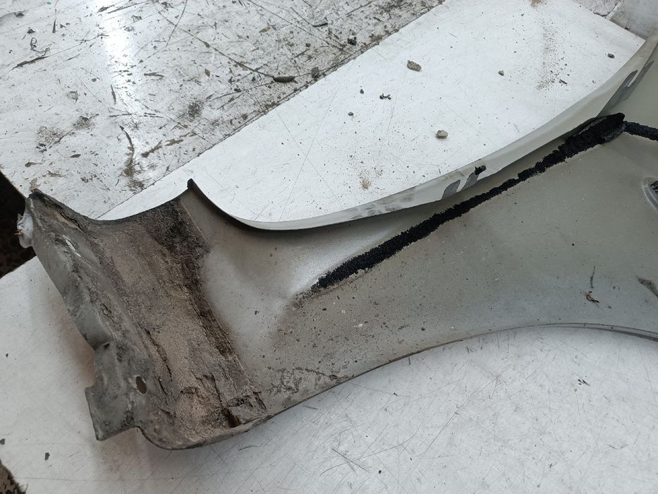 Guarda Lamas Esquerdo - CITROËN Xsara Picasso (N68) | 99 - 12