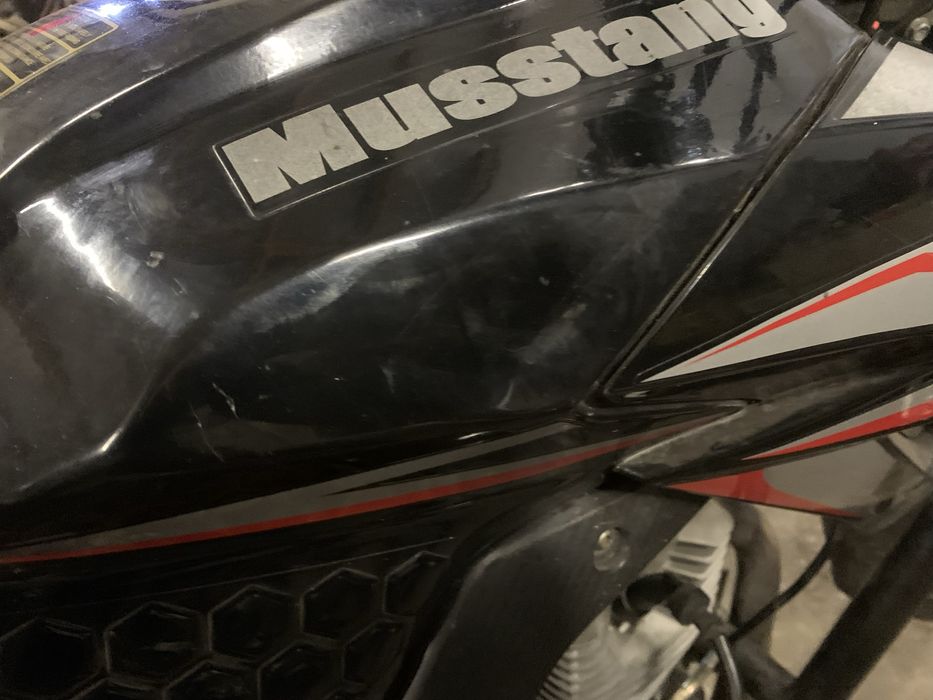 Мустанг Фортуна 200