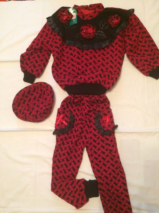 Красивый теплый костюм, комплект 3-ка для модниц. Реглан, брюки, берет