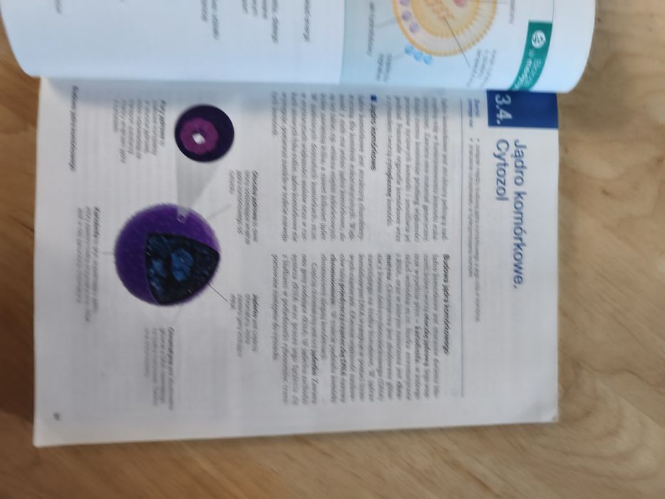 Biologia na czasie 1, zakres rozszerzony